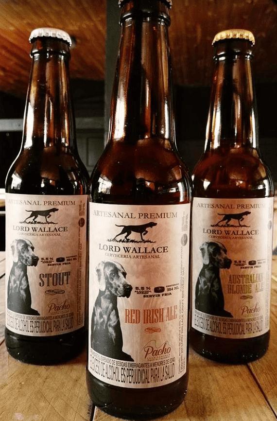 Stadium with sports events